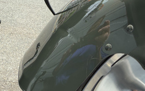 HARLEY  HARLEY FLFBS 2022 YGK