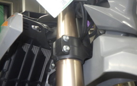 HONDA CRF250L 2020 MD47