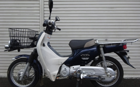 HONDA SUPER CUB110 JA10
