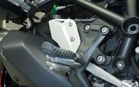 KAWASAKI NINJA H2 SX 2018 ZXT02A