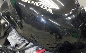 HONDA HORNET 250 MC31