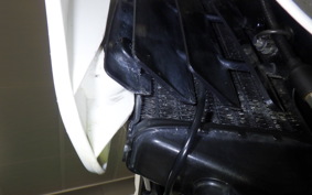 KAWASAKI KLX250D TRACKER 2010 LX250E