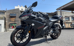 YAMAHA YZF-R25 RG43J