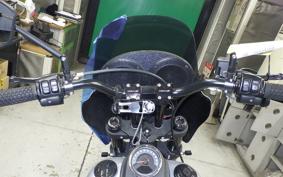 HARLEY FXLRS1870 2019