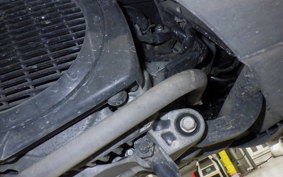 HONDA LEAD 110 2025 JF19