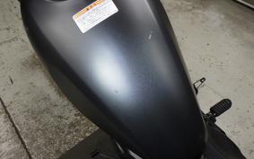 HONDA REBEL 250 S 2021 MC49