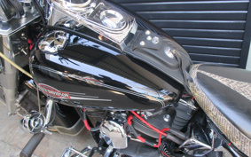 HARLEY FLSTC 2006 BJY