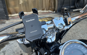 HARLEY FLFBS 2021 YGK