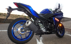 YAMAHA YZF-R25 RG43J
