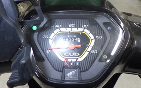 HONDA C110 SUPER CUB 2009 JA10