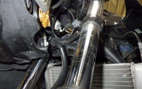 HONDA CBR250R CS250C