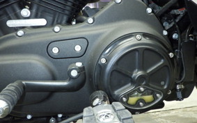 HARLEY XL1200NS 2019