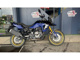 Фото Suzuki DL650 2023 с японского аукциона