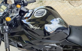 KAWASAKI NINJA ZX-25R ZX250E