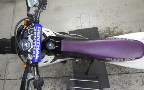 SUZUKI RMX250 S Gen.2