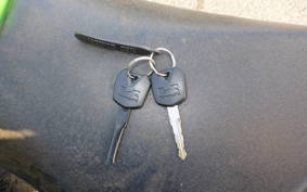 KAWASAKI NINJA 250 EX250L