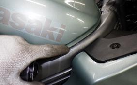 KAWASAKI ZZ-R250 EX250H