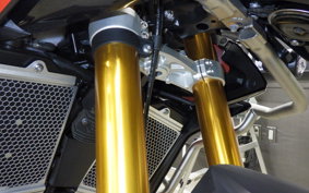TRIUMPH TIGER 900 RALLY PRO 2024