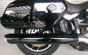 HARLEY FLSB 2019 YMJ