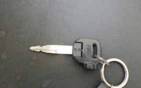 SYM RV250