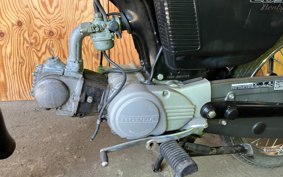 HONDA BENLY 50 CD50