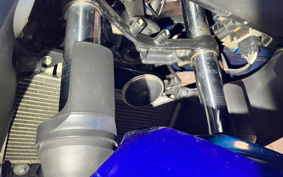 KAWASAKI NINJA 250 EX250L