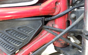 YAMAHA RZ250RR 29L