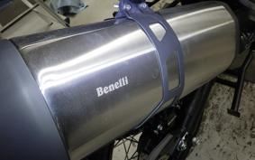 BENELLI BENELLI TRK502X 2025
