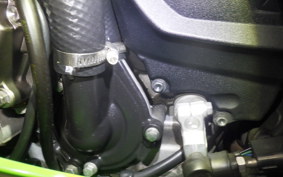 KAWASAKI NINJA ZX-6R A 2020 ZX636G