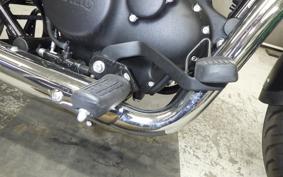 OTHER +ENFIELD ﾒﾃｵ350 2024
