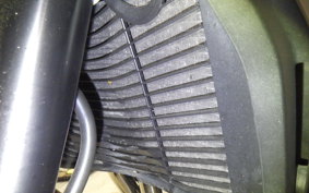 YAMAHA FZ1 FAZER 2008 RN21J