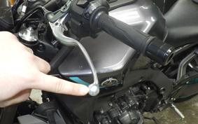 YAMAHA MT-09 2024 RN87J