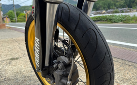 YAMAHA WR250X DG15J