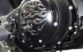 HARLEY XL1200NS 2019