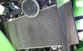 KAWASAKI NINJA 250 ABS EX250L