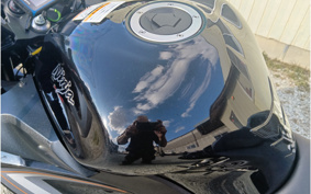 KAWASAKI NINJA 1000 ABS 2019 ZXT00W