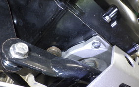 OTHER +UNREGISTERED MODEL by BDS250 2017