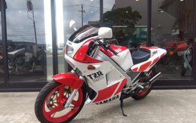 YAMAHA TZR250 1KT