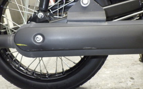 KAWASAKI W175 SE 2022