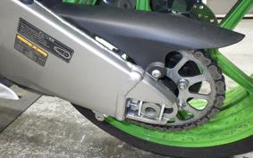 KAWASAKI NINJA ZX-6R A 2025 ZX636J