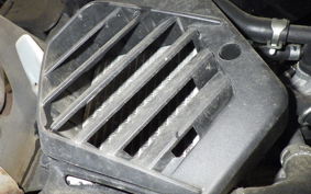 HONDA BENLY 50 2025 AA05