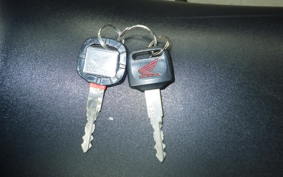 HONDA VTR 250 2019 MC33