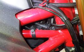 DUCATI DUCATI SS937S 2019