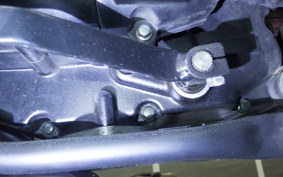 OTHER +UNREGISTERED MODEL by BDS125 2025