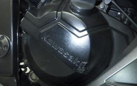KAWASAKI NINJA 250 EX250L