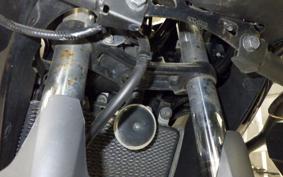 KAWASAKI VERSYS X250 A 2021 LE250D