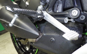 KAWASAKI NINJA ZX-6R A 2021 ZX636G