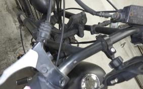 YAMAHA VIRAGO 250 3DM