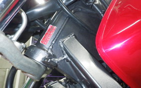 HONDA HORNET 250 2009 MC31