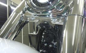 HARLEY FLFB1920 2025